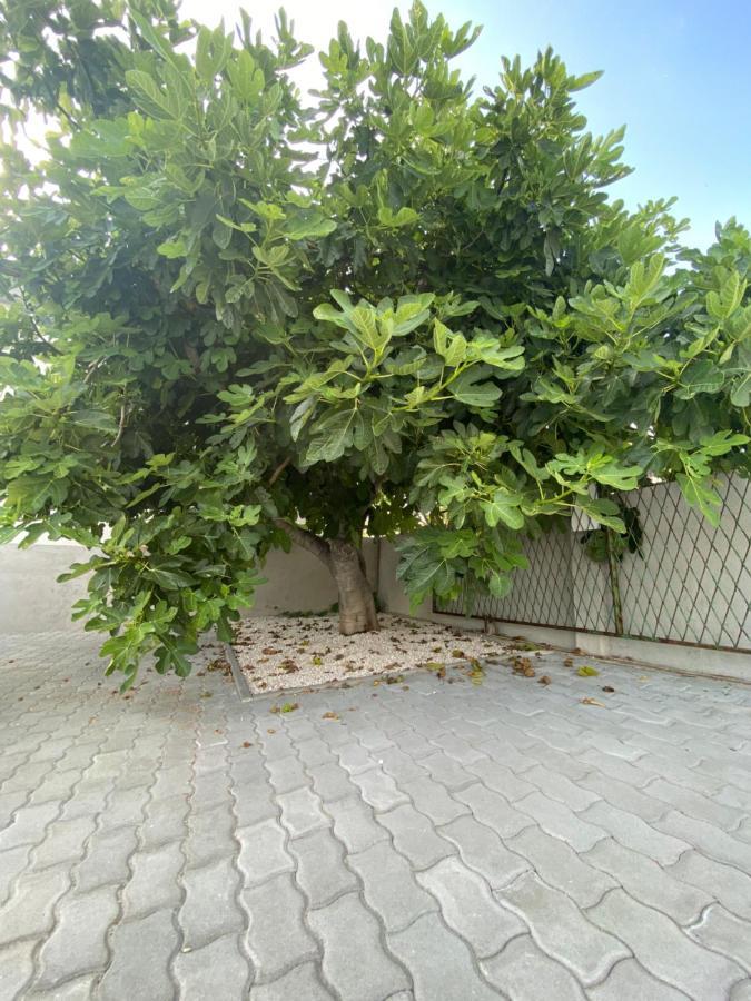 Villa Sabina - Apartments Kroatien Ražanac Zewnętrze zdjęcie