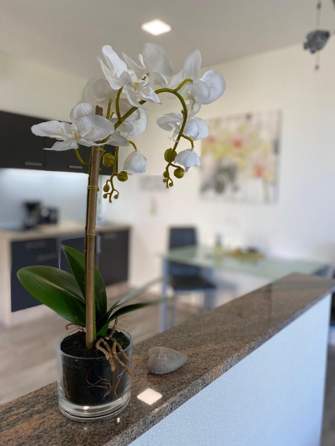 Villa Sabina - Apartments Kroatien Ražanac Zewnętrze zdjęcie