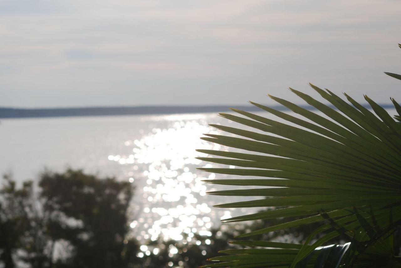 Villa Sabina - Apartments Kroatien Ražanac Zewnętrze zdjęcie